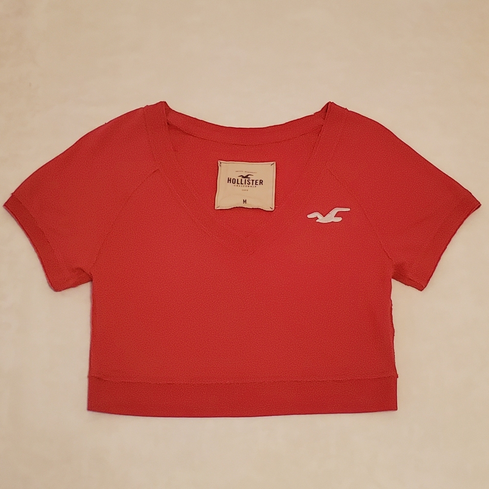 Hollister M Vintage Y2K Hot Pink Beach Fleece Cropped Short Sleeve Sweatshirt